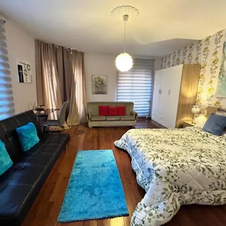 Arquitecto De La Vida- Plaza Mayor León