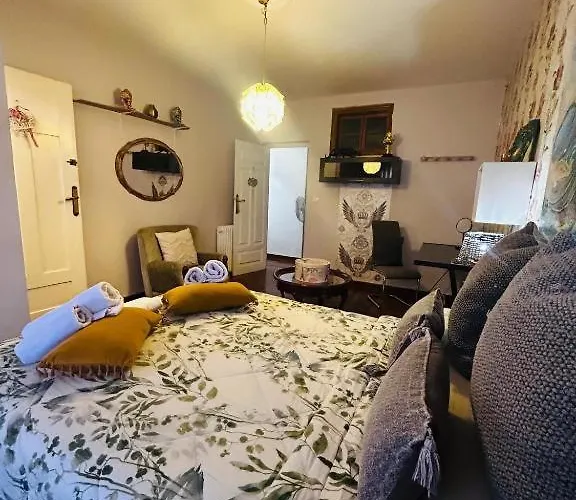 Arquitecto De La Vida- Plaza Mayor