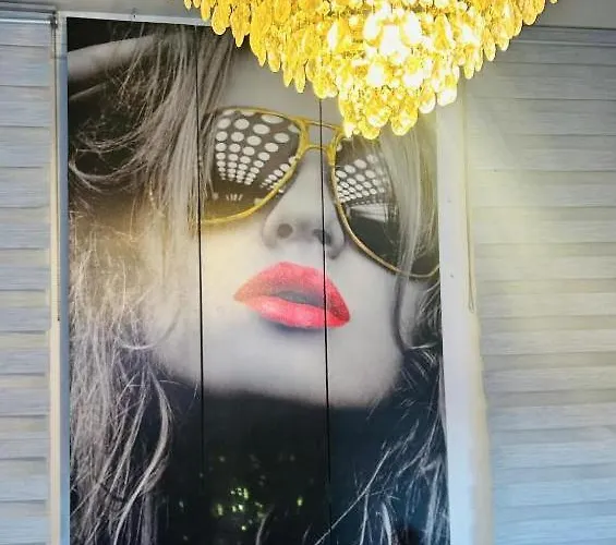 Arquitecto De La Vida- Plaza Mayor León