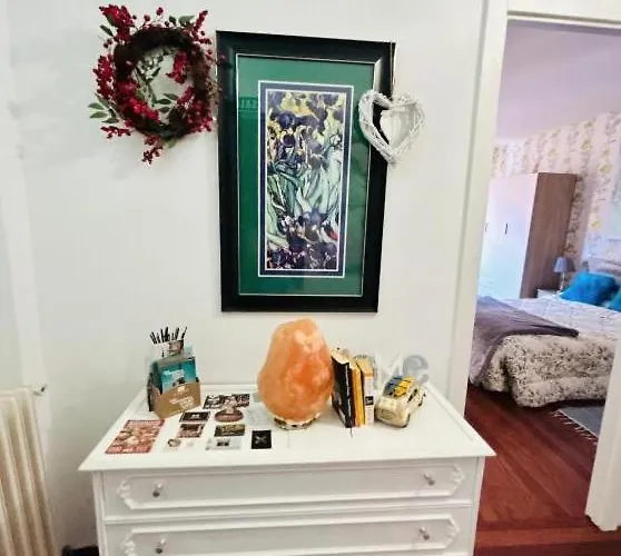 Arquitecto De La Vida- Plaza Mayor León