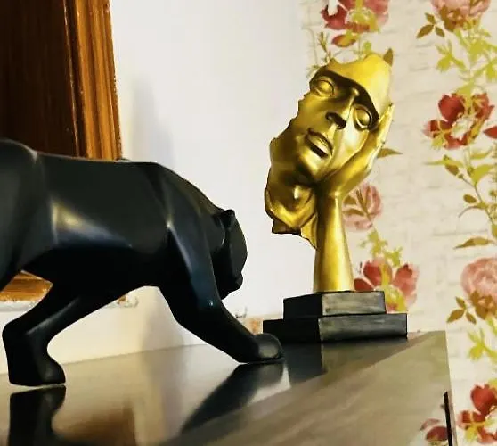 Arquitecto De La Vida- Plaza Mayor * León